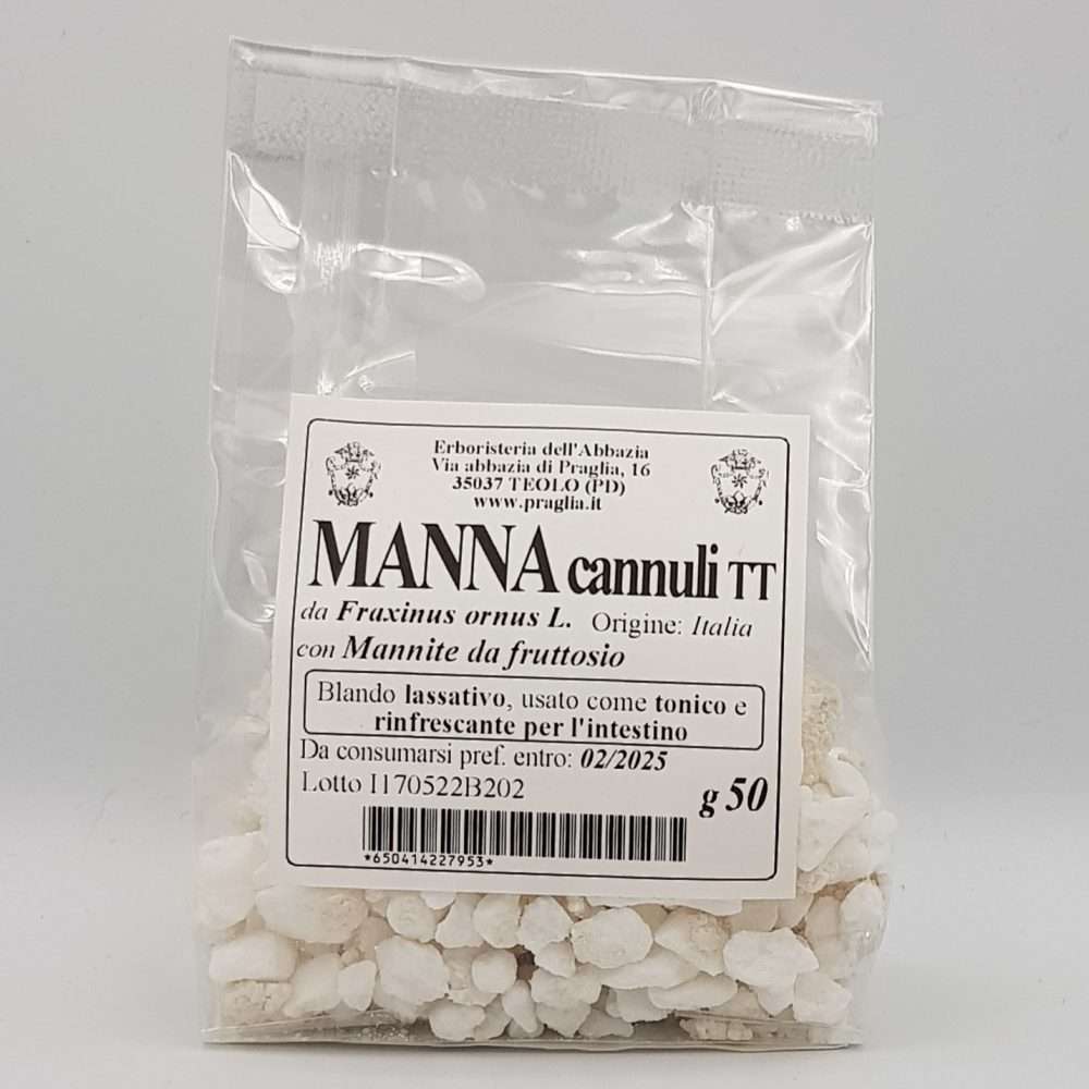Manna (cannuli)