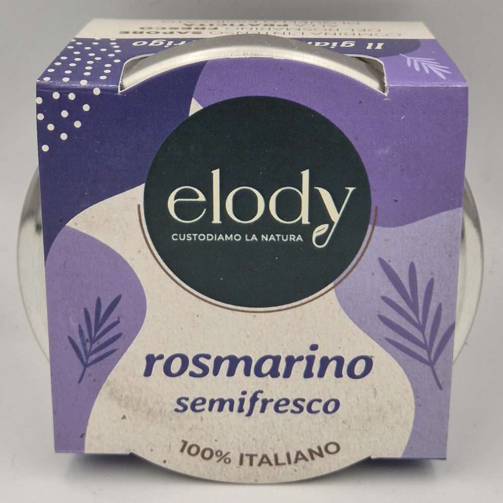 Rosmarino semifresco - Elody (Durata 1 anno)