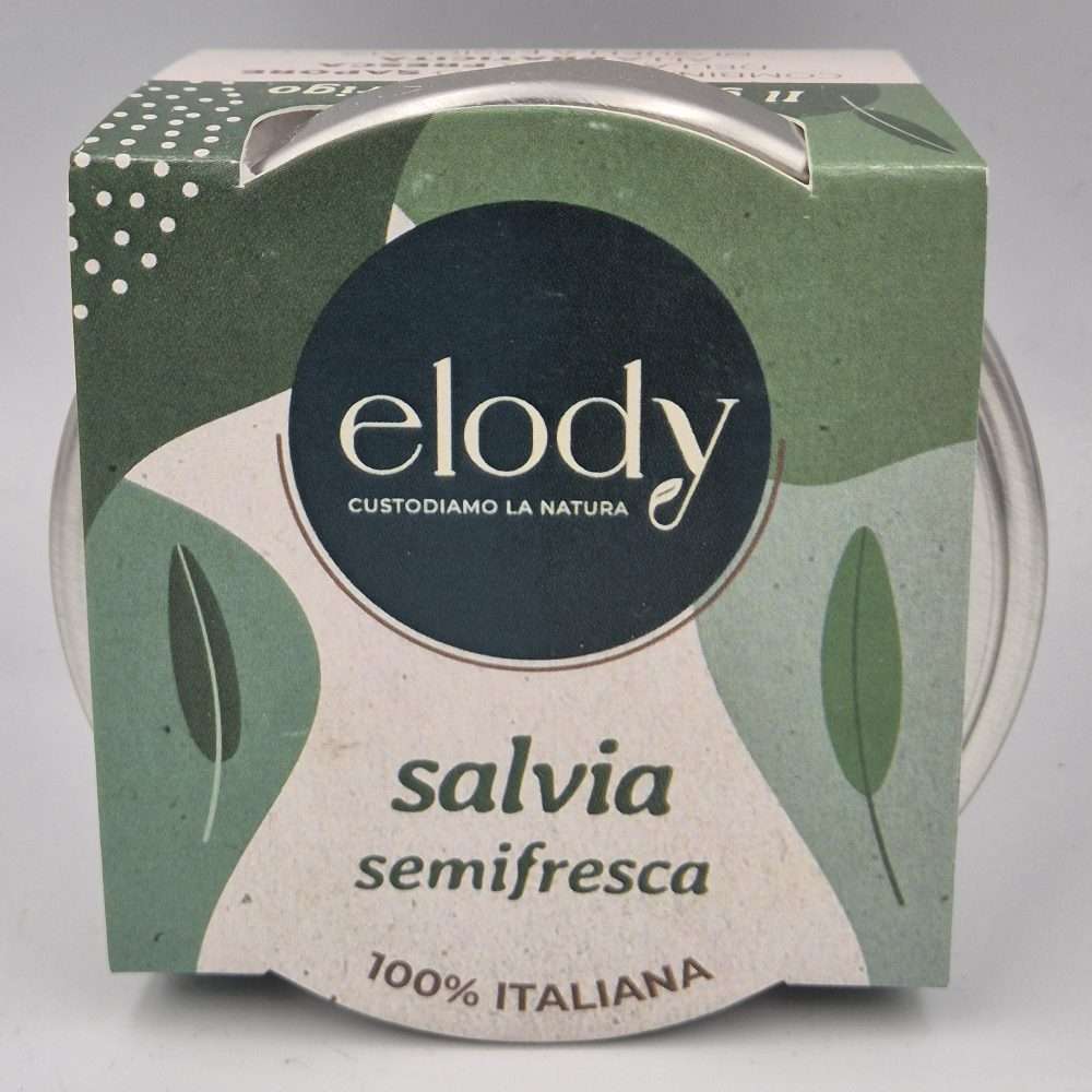 Salvia semifresca - Elody (Durata 1 anno)